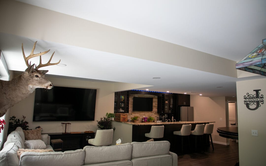 Spring Mills Basement + Patio Remodel