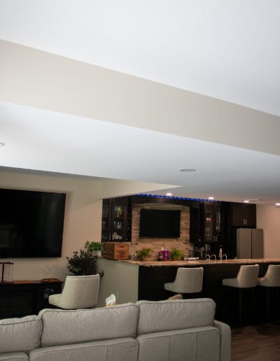 Spring Mills Basement + Patio Remodel