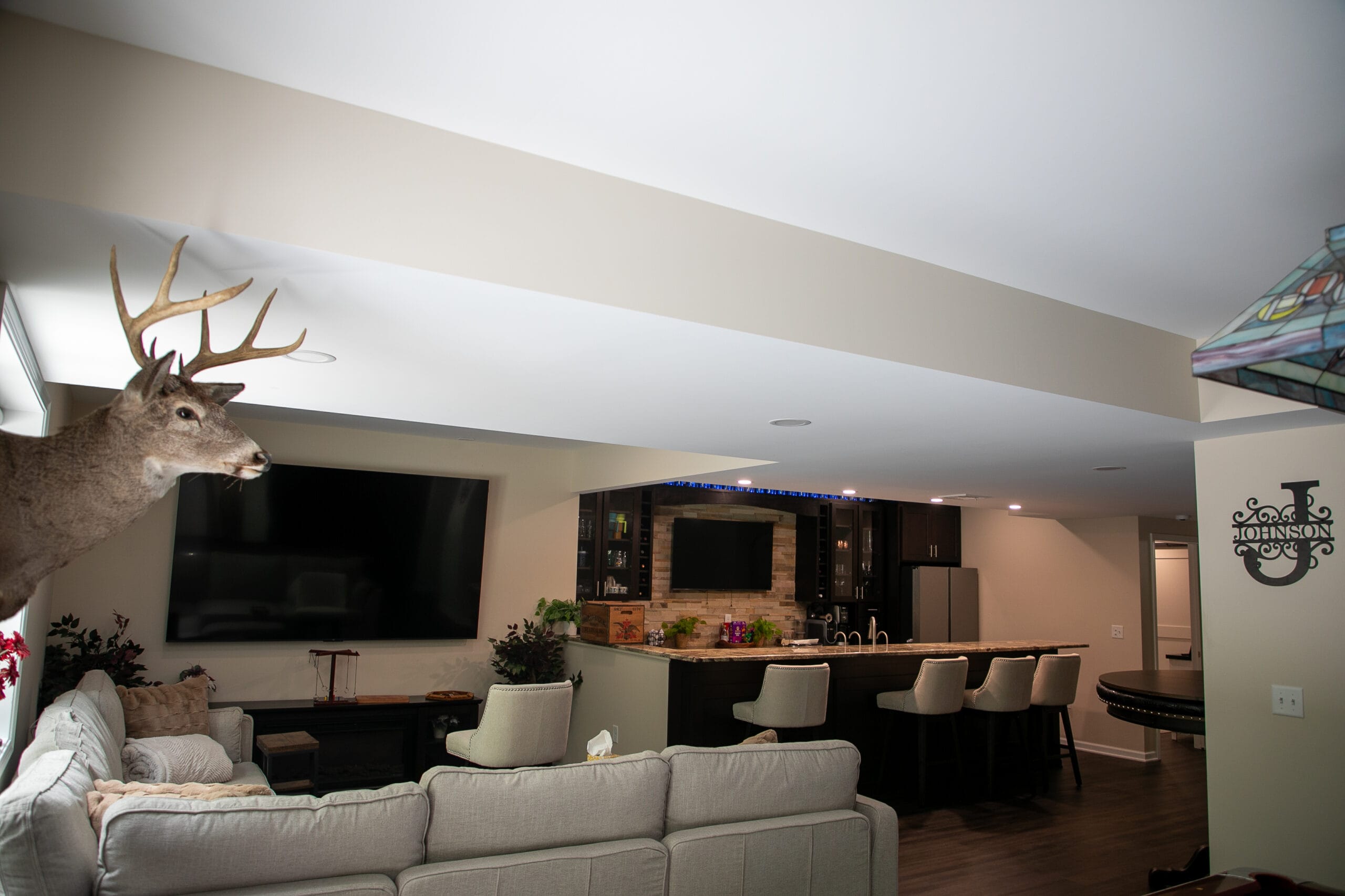 Spring Mills Basement + Patio Remodel